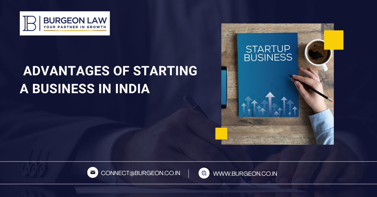 advantages of starting a business in india