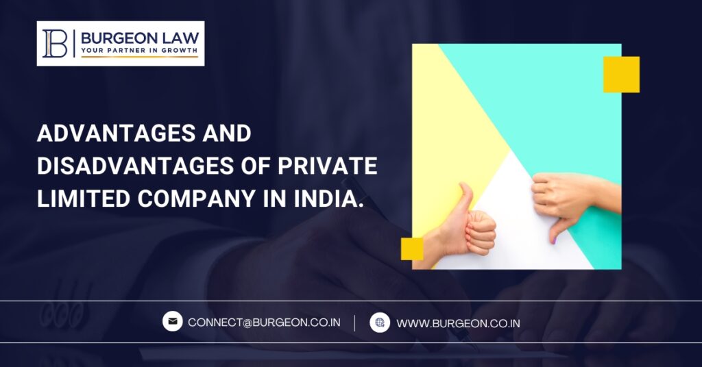 advantages and disadvantages of private limited company in india